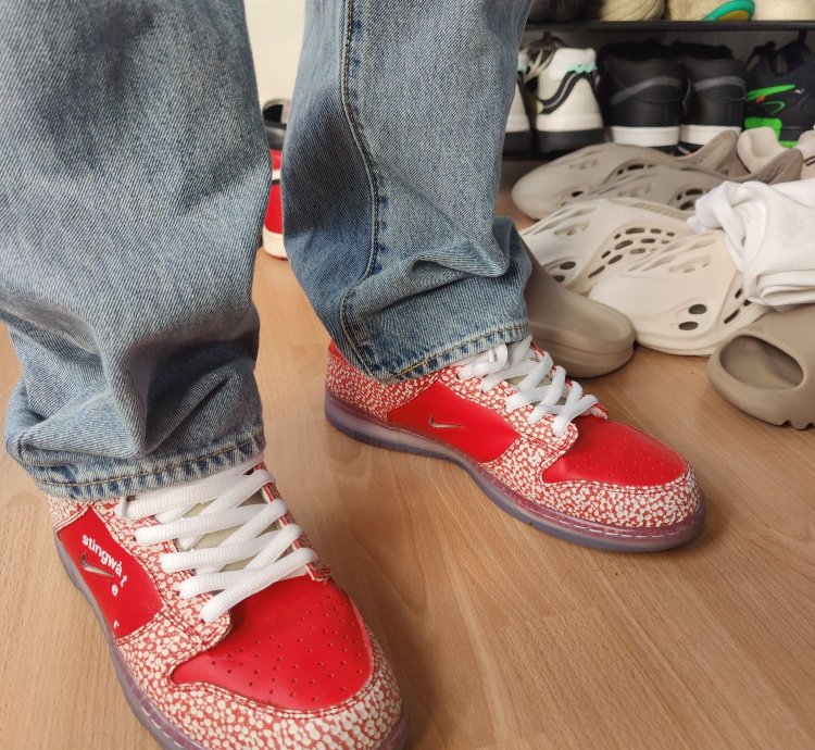 Nike Sb Dunk Stingwater Magic Mushroom