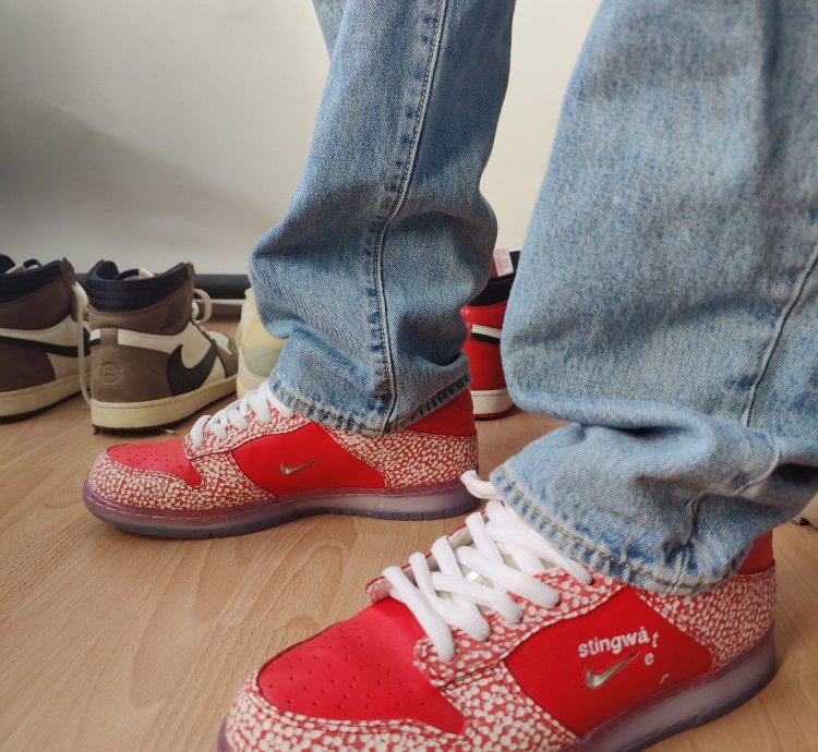 Nike Sb Dunk Stingwater Magic Mushroom