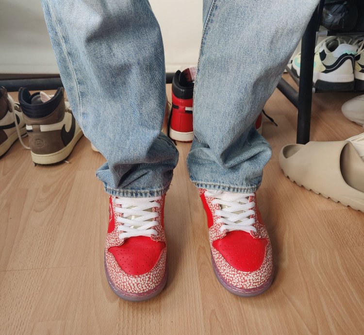 Nike Sb Dunk Stingwater Magic Mushroom