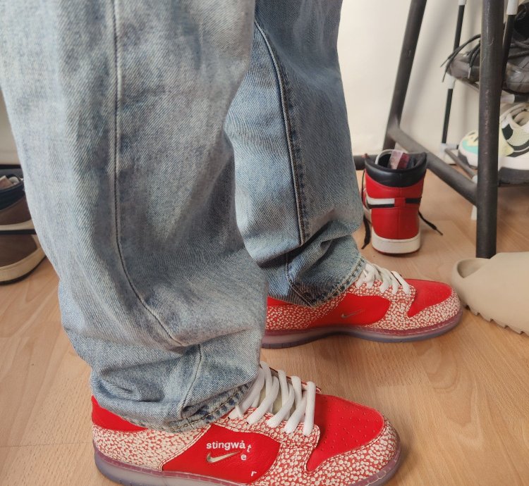 Nike Sb Dunk Stingwater Magic Mushroom