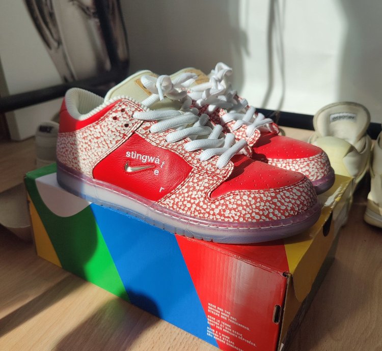 Nike Sb Dunk Stingwater Magic Mushroom