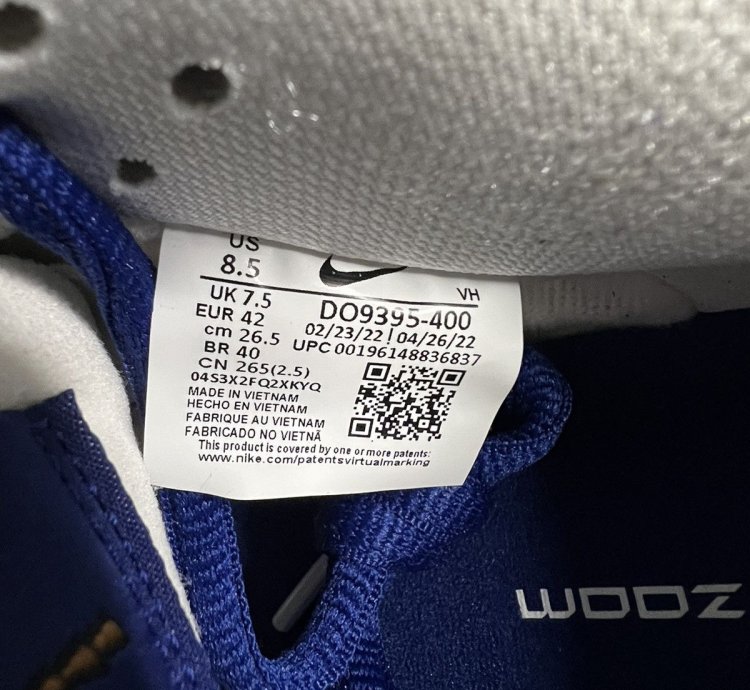 Nike Dunk Low Sb Dodgers