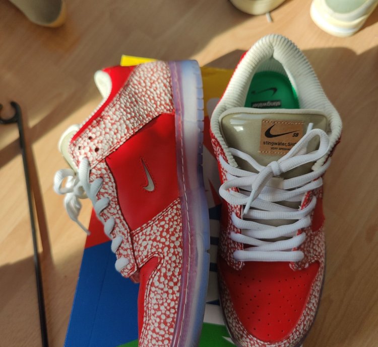 Nike Sb Dunk Stingwater Magic Mushroom