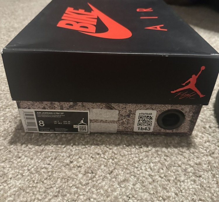 Nike Air Jordan 4 Low Nigel Sylvester Bike Air