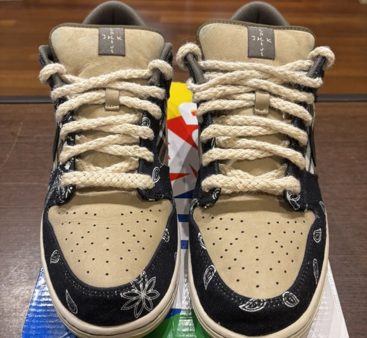 Nike Sb Dunk Travis Scott Low