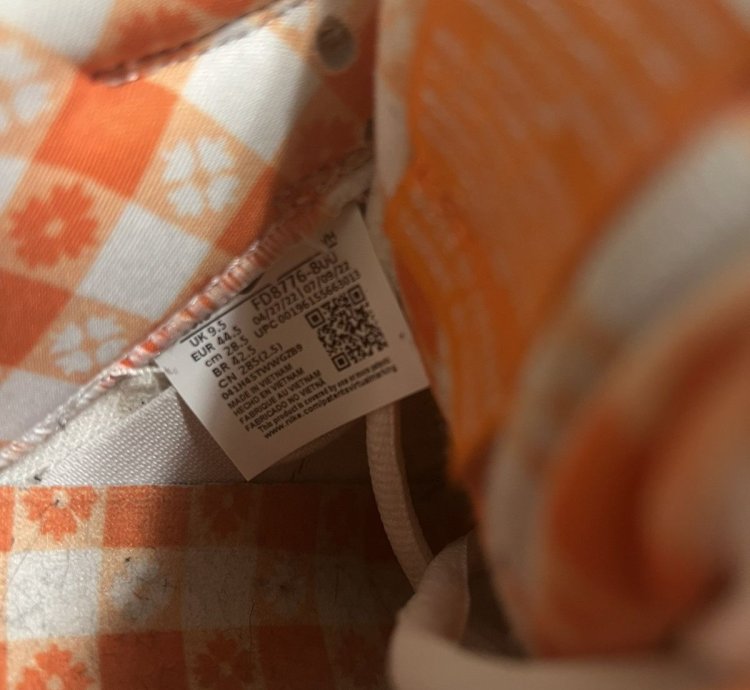 Nike Sb Dunks Low Orange Lobsters