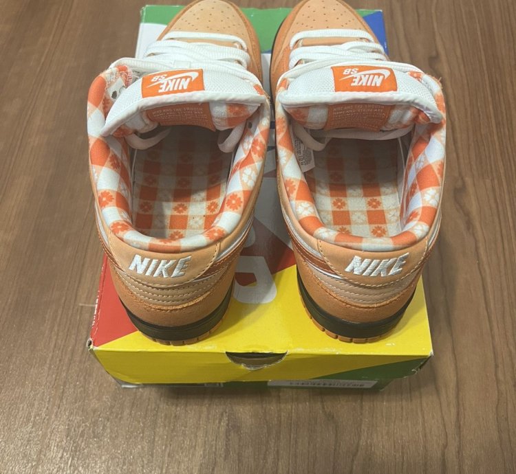 Nike Sb Dunks Low Orange Lobsters