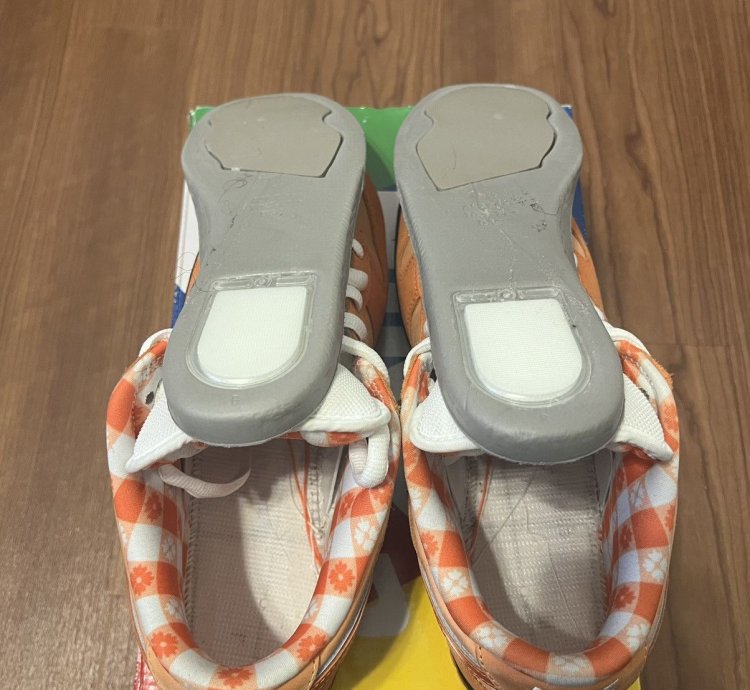 Nike Sb Dunks Low Orange Lobsters