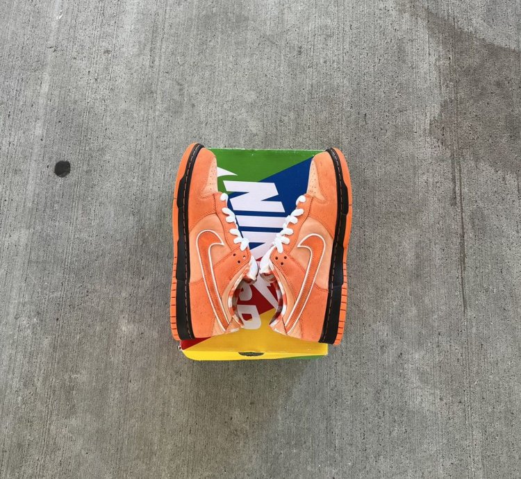 Nike Sb Dunks Low Orange Lobsters
