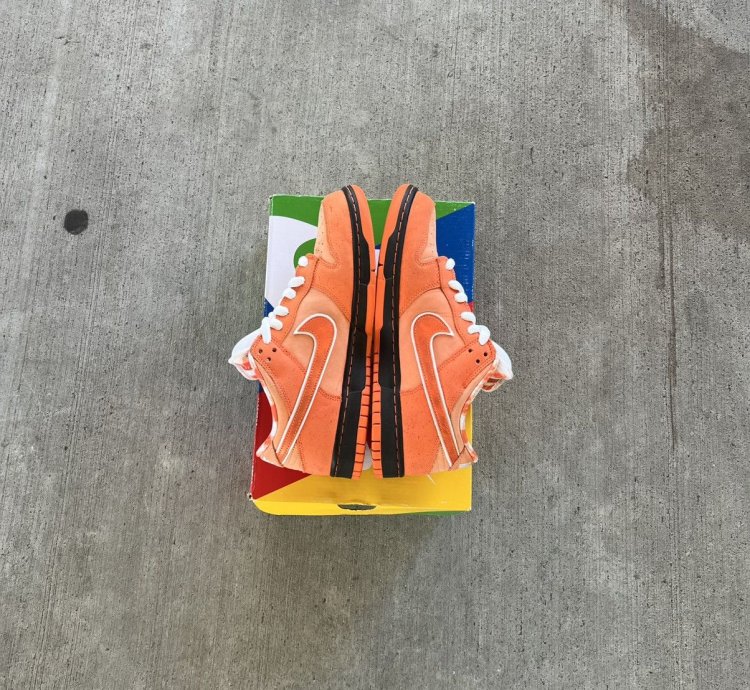 Nike Sb Dunks Low Orange Lobsters