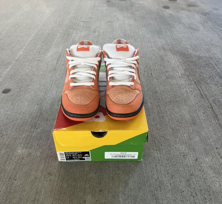 Nike Sb Dunks Low Orange Lobsters