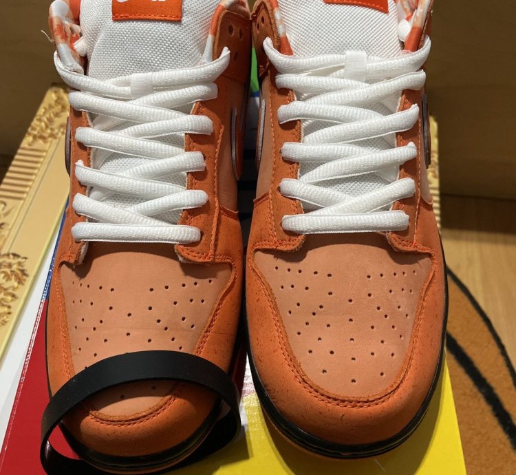 Orange Lobster Nike Sb Dunk Low Qs