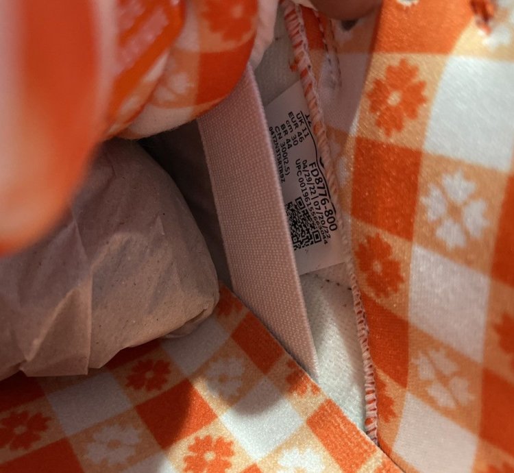 Orange Lobster Nike Sb Dunk Low Qs