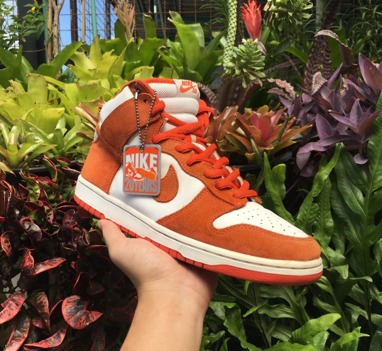 Rare Nike Sb Dunk High Pro Syracuse 2005