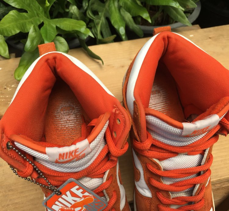 Rare Nike Sb Dunk High Pro Syracuse 2005