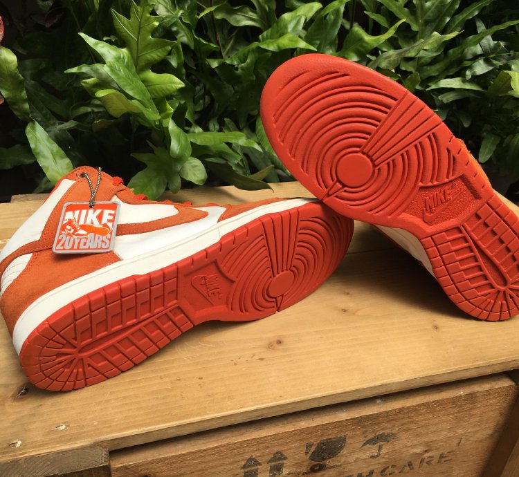 Rare Nike Sb Dunk High Pro Syracuse 2005