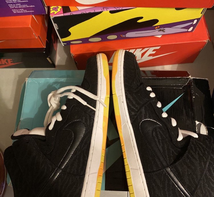 Rare Nike Sb Dunk Skunk High