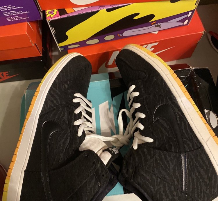 Rare Nike Sb Dunk Skunk High