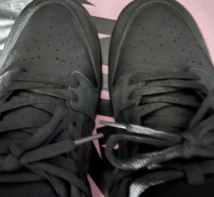 Size 11 5 - Nike Sb Dunk Low Pro Jeff Staple Black Pigeon