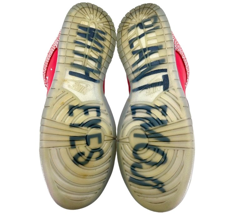 Dunk Sb Low Stingwater Magic Mushroom