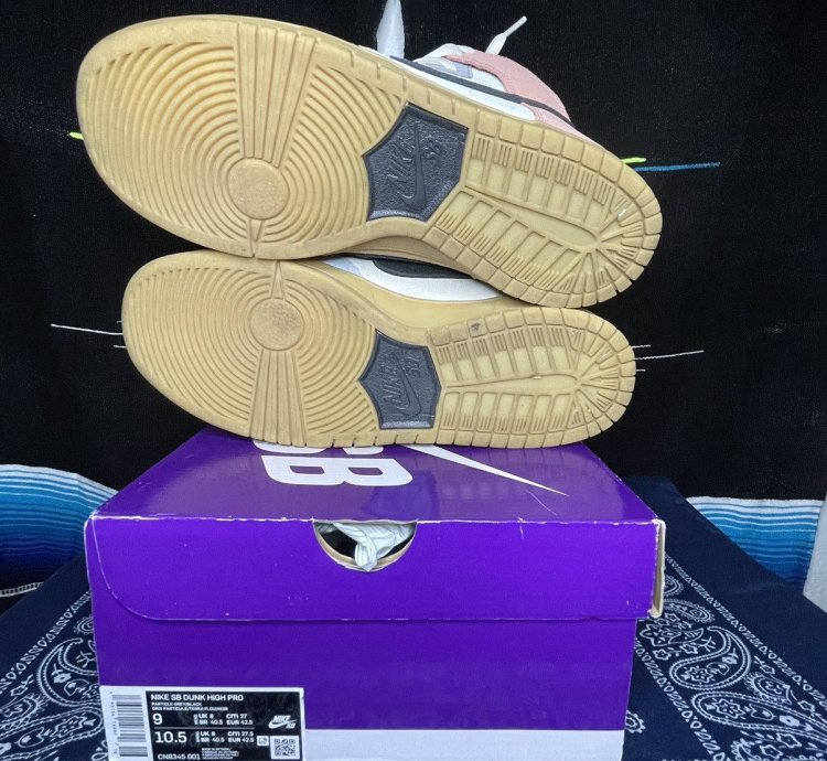 Size 9 5 - Nike Sb Dunk High Pro Spectrum 2020