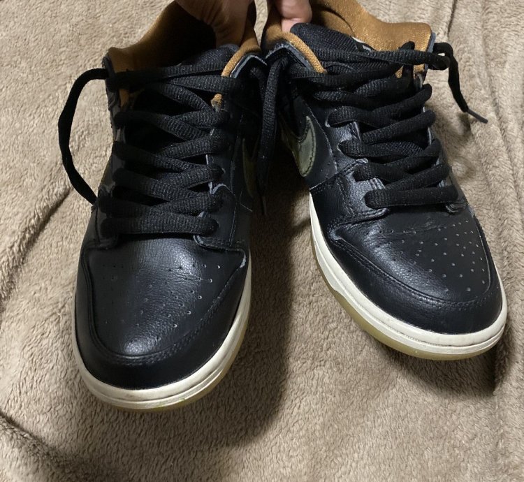 Size 9- Nike Sb Dunk Low Rain 2013