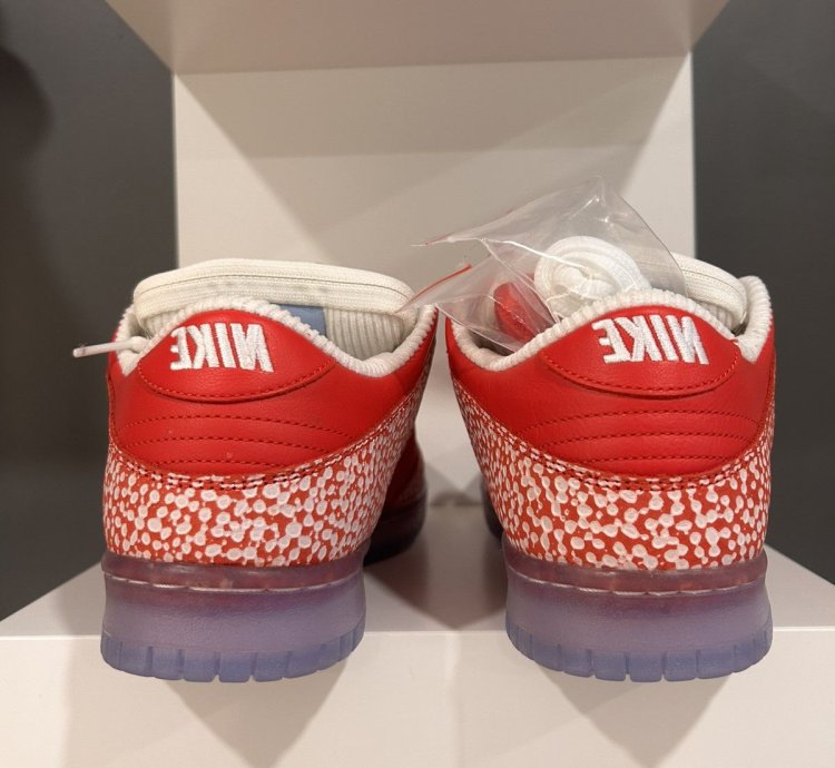 Sting Water Nike Sb Dunk Low
