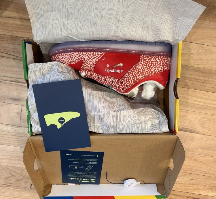 Sting Water Nike Sb Dunk Low