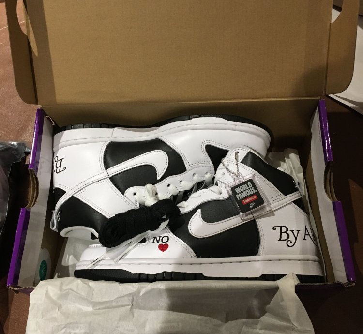 Supreme Nike Sb Dunk High By Any Means