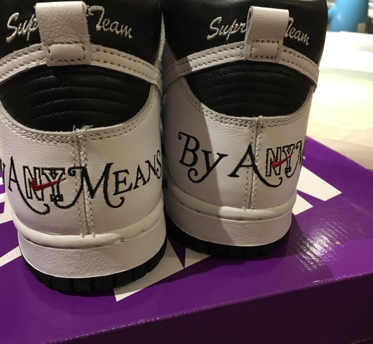 Supreme Nike Sb Dunk High By Any Means