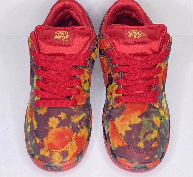 The Wizard Of Oz Nike Sb Dunk Low Poppy Field