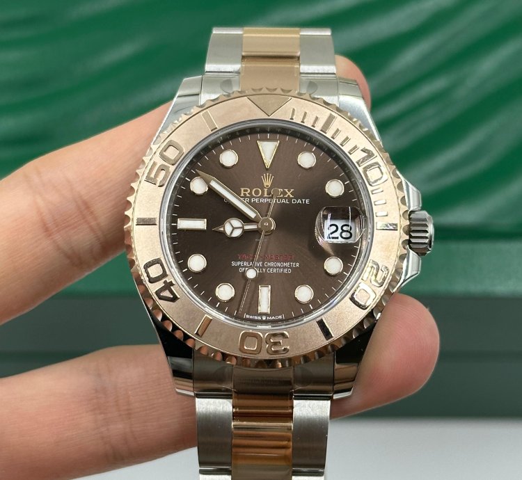 Rolex Yacht-master 37 Choco Dial
