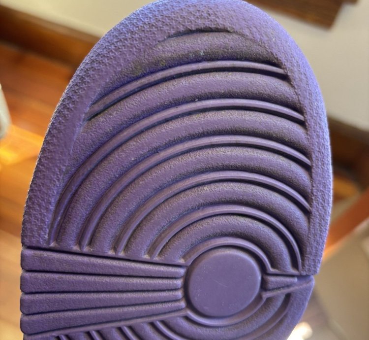 Nike Dunk Low Pro Sb Purple Pigeon 2006
