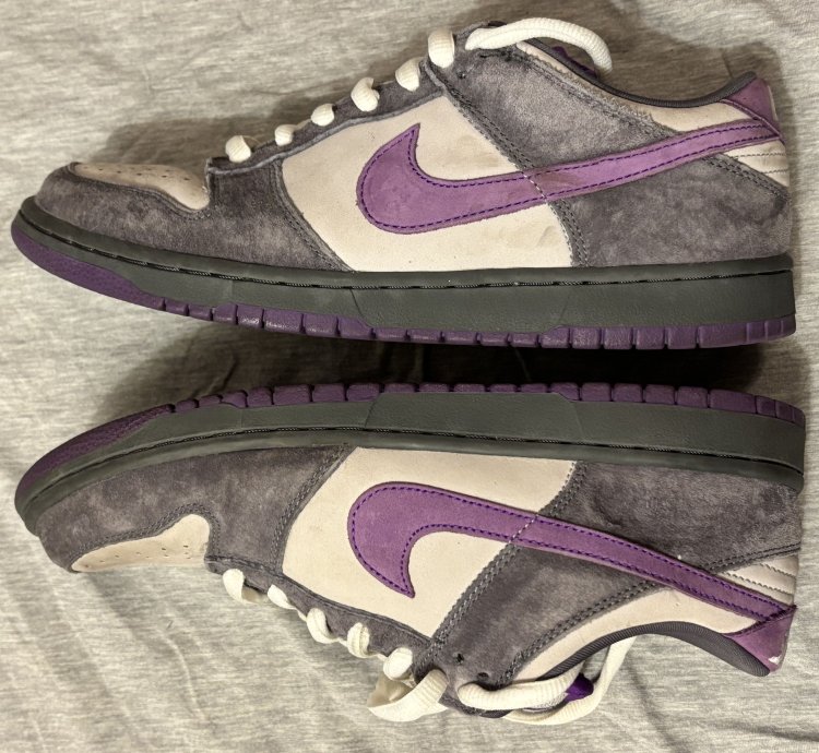 Nike Dunk Low Pro Sb Purple Pigeon 2006