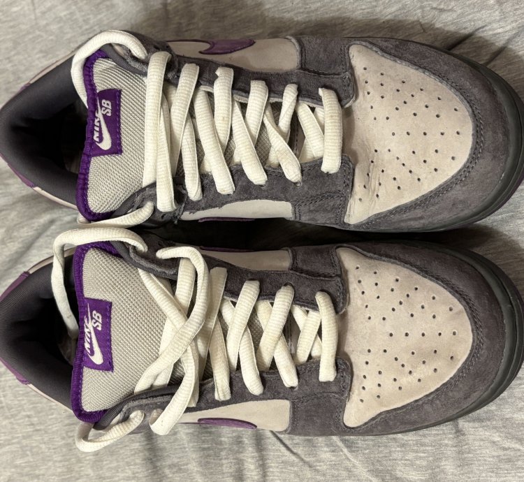 Nike Dunk Low Pro Sb Purple Pigeon 2006