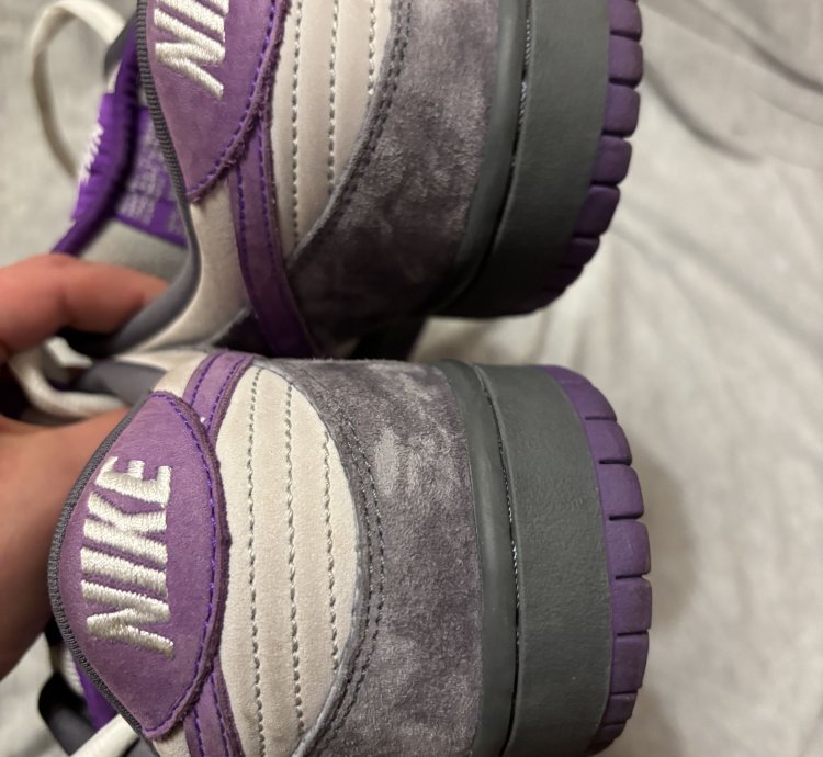 Nike Dunk Low Pro Sb Purple Pigeon 2006