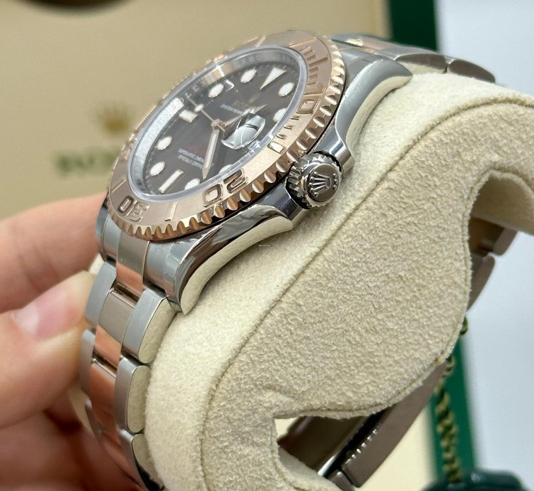 Rolex Yacht-master 40 Chocolate Dial