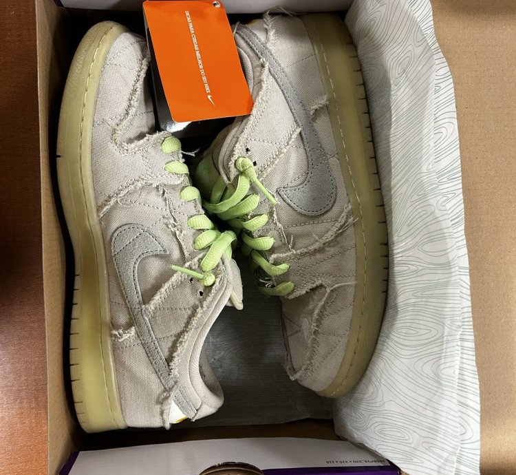 Nike Dunk Low Sb Mummy