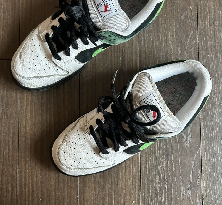 Nike Dunk Sb