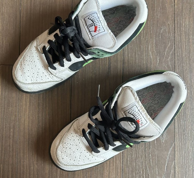 Nike Dunk Sb