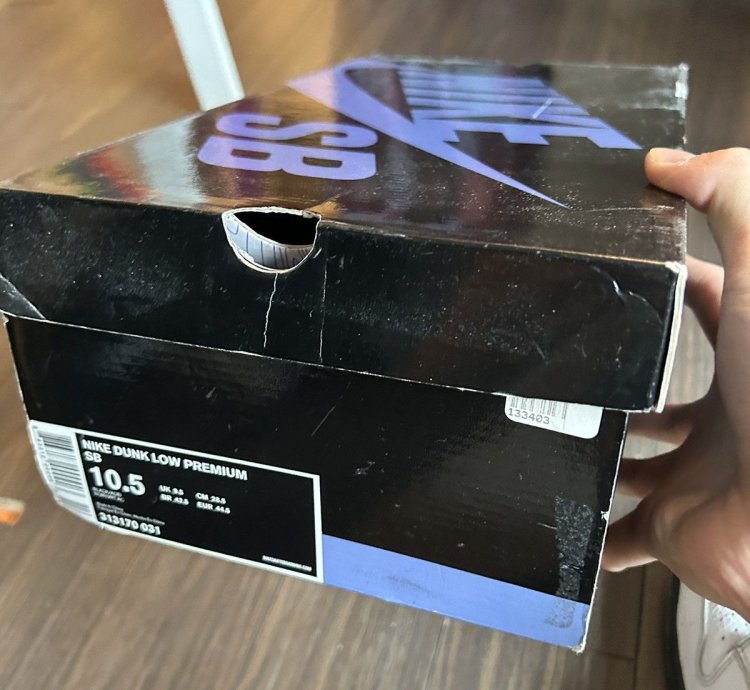 Nike Dunk Sb