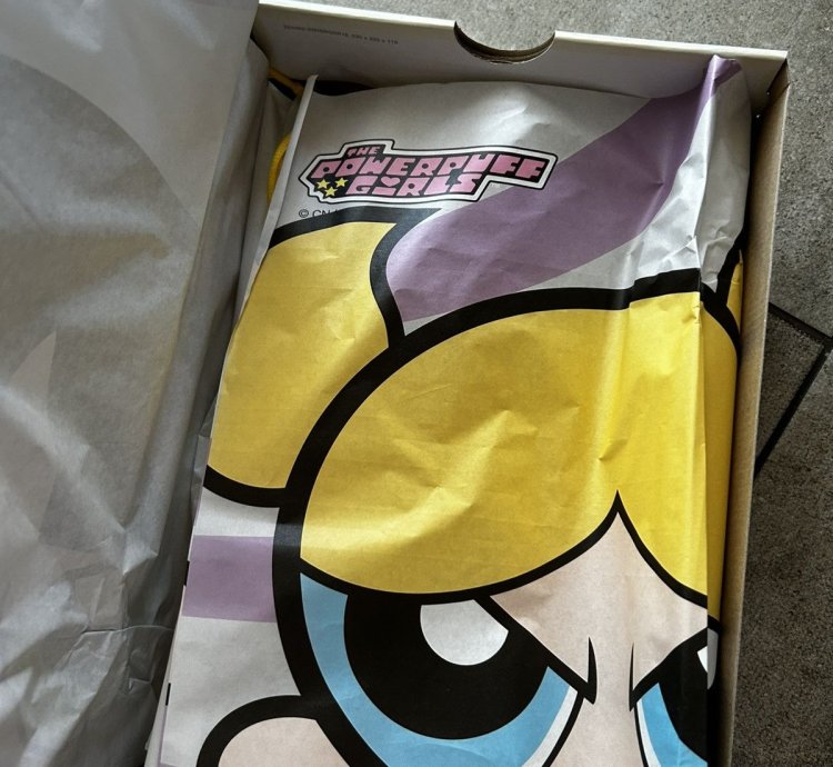 Nike Dunk Sb Bubbles Powerpuff Girls
