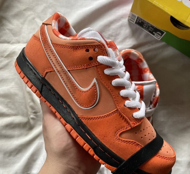 Nike Dunk Sb Lobster 5 5us