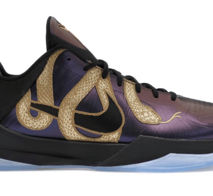 Kobe 5 Protro Year Of The Mamba Eggplant