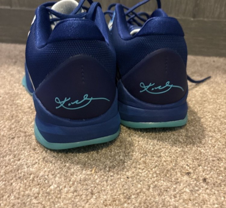 Kobe 5 Ray