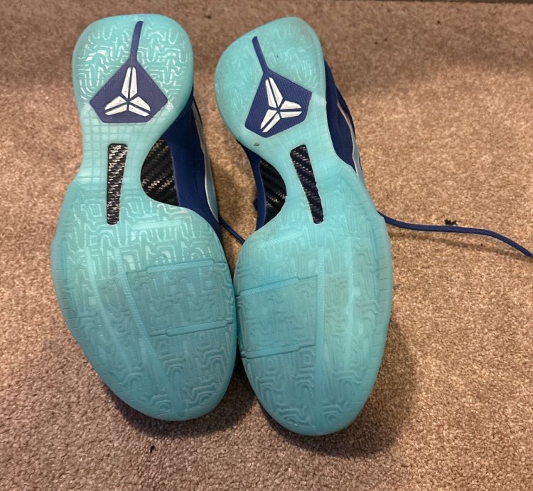 Kobe 5 Ray