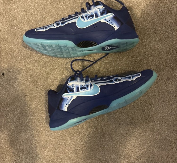 Kobe 5 Ray