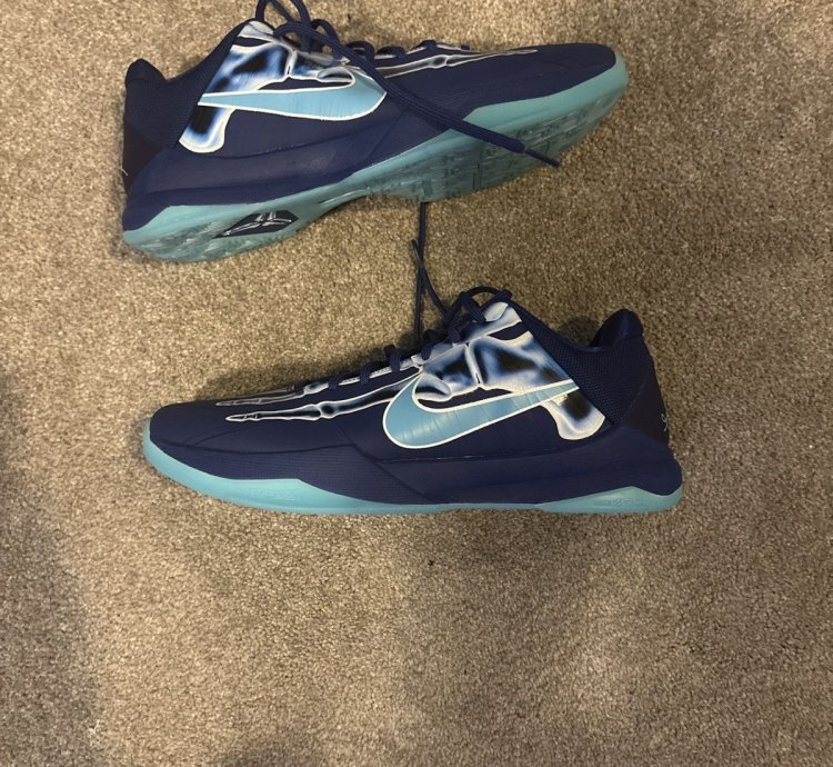 Kobe 5 Ray