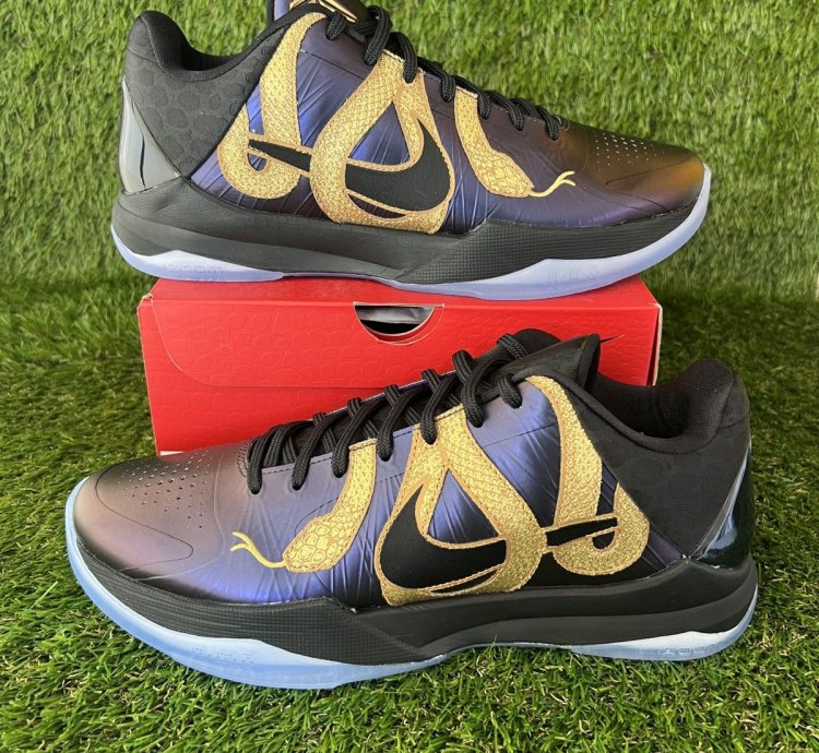 Kobe 5 Year Of The Mamba Eggplant