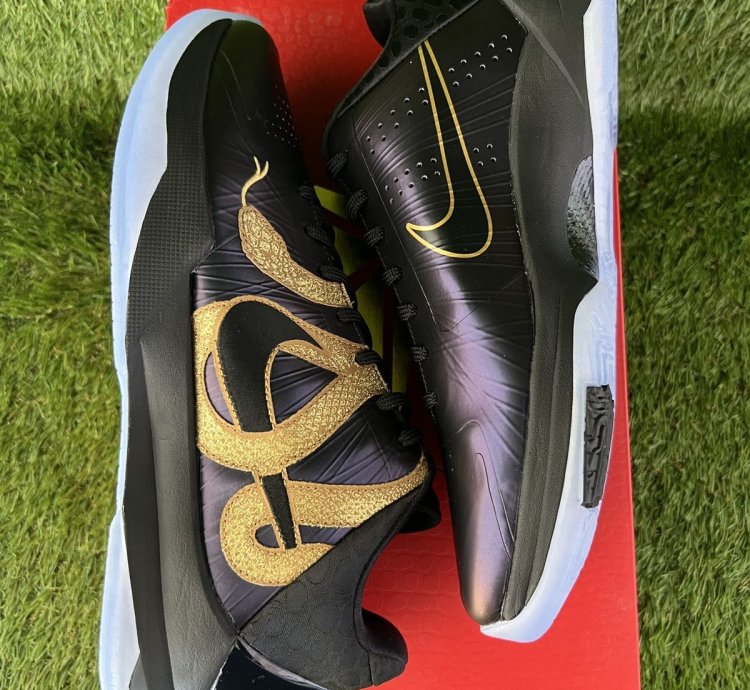 Kobe 5 Year Of The Mamba Eggplant